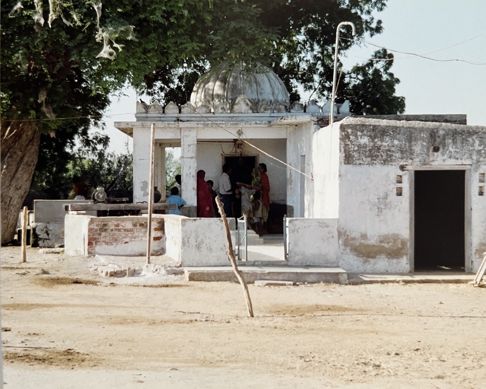 HALP Ashram #5